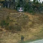 Adeli Ellivuori Huoneisto