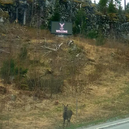 Adeli Ellivuori Huoneisto