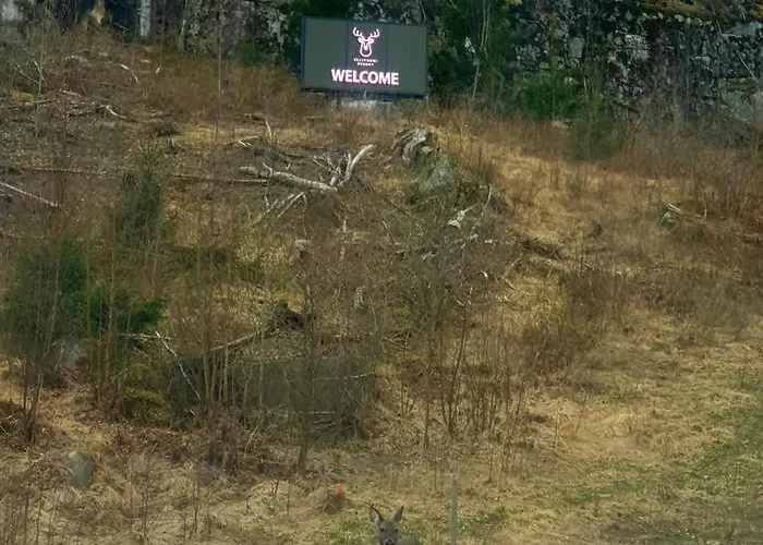 Adeli Ellivuori Διαμέρισμα